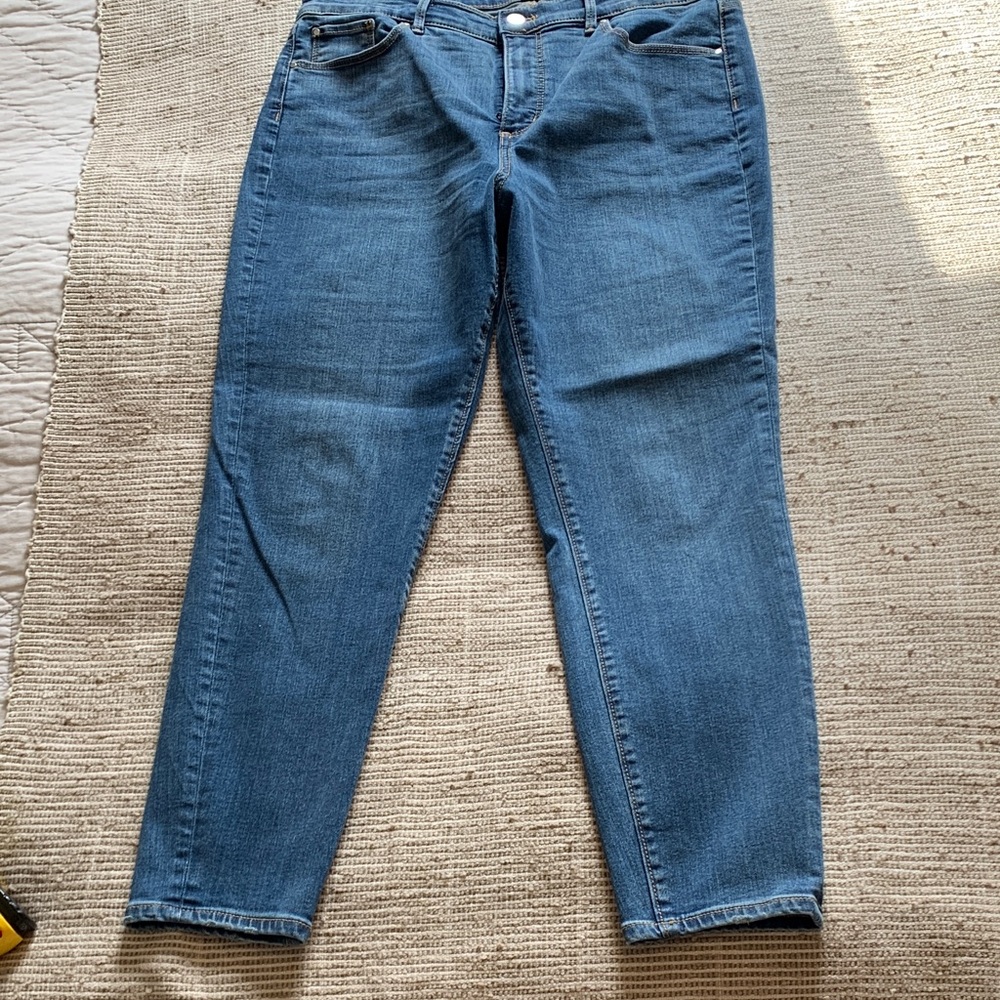 Ann Taylor Denim Skinny Jeans